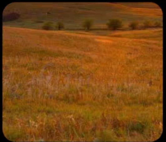 Rough grassland mowing
